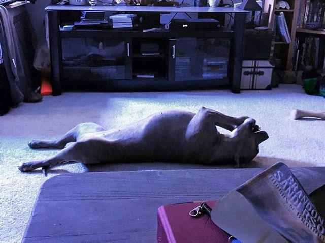 Найзручніша поза для лежання - фото 231192