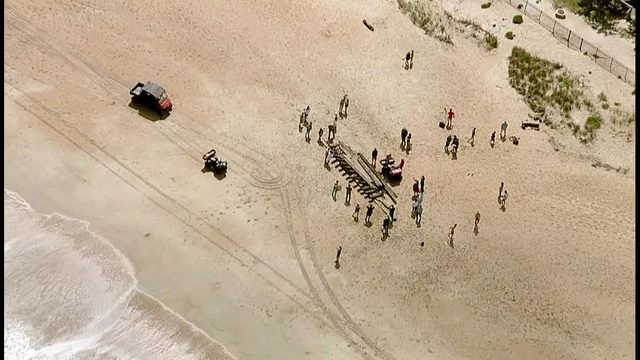 У Флориді на пляжі знайшли несподівану історичну знахідку - фото 237002