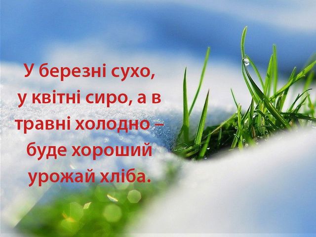 Прикмети на весну - фото 234223