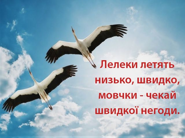 Журавлі віщують погоду на весну - фото 234228