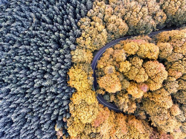 Незвичайні дороги Трансільванії, від яких перехоплює дух - фото 235650