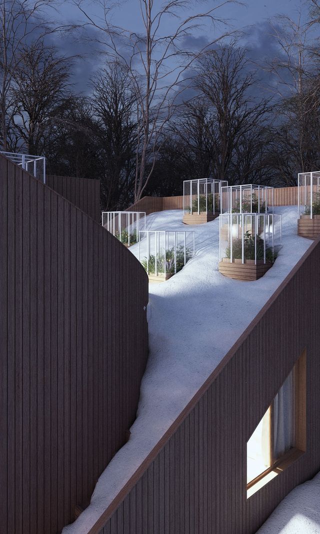 Який має вигляд ідеальний дім з садом на даху - фото 232800