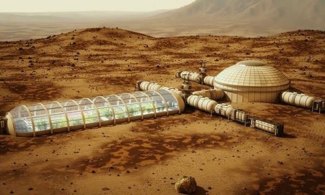 Ілон Маск розповів, як пережити третю світову війну - фото 232902