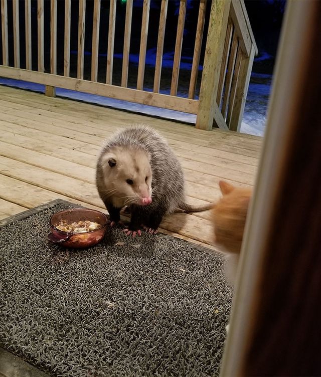 MrRogers247. - фото 232273