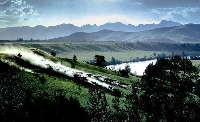 У Лос-Анджелесі один фотограф зухвало скопіював роботи іншого - фото 231752