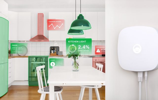 Український стартап Ecoisme - фото 232993