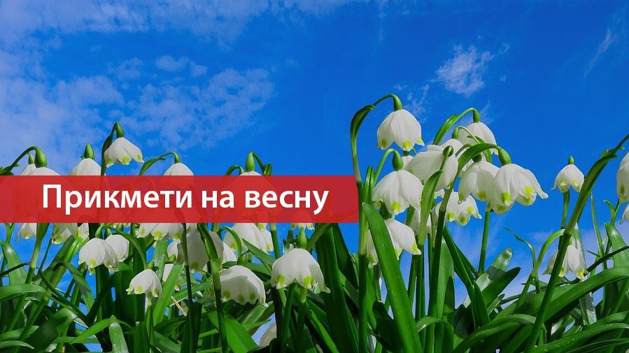 Що віщують весняні прикмети? - фото 1