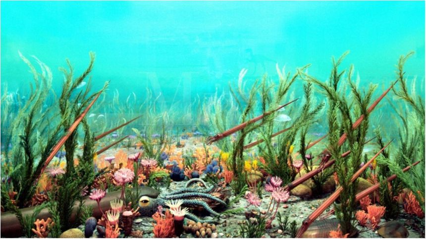 В океан потрапила велика кількість з'єднань вуглецю - фото 1