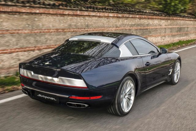 Sciadipersia - фото 231353