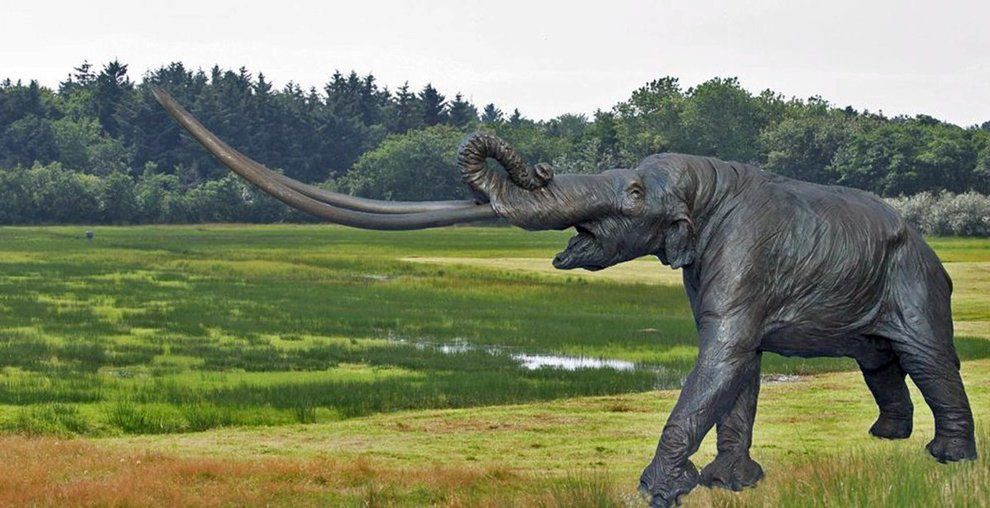 У США діти знайшли щелепу мастодонта: фотофакт