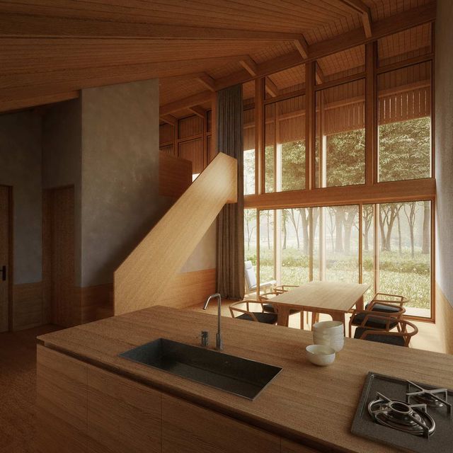 Який має вигляд ідеальний дім з садом на даху - фото 232796