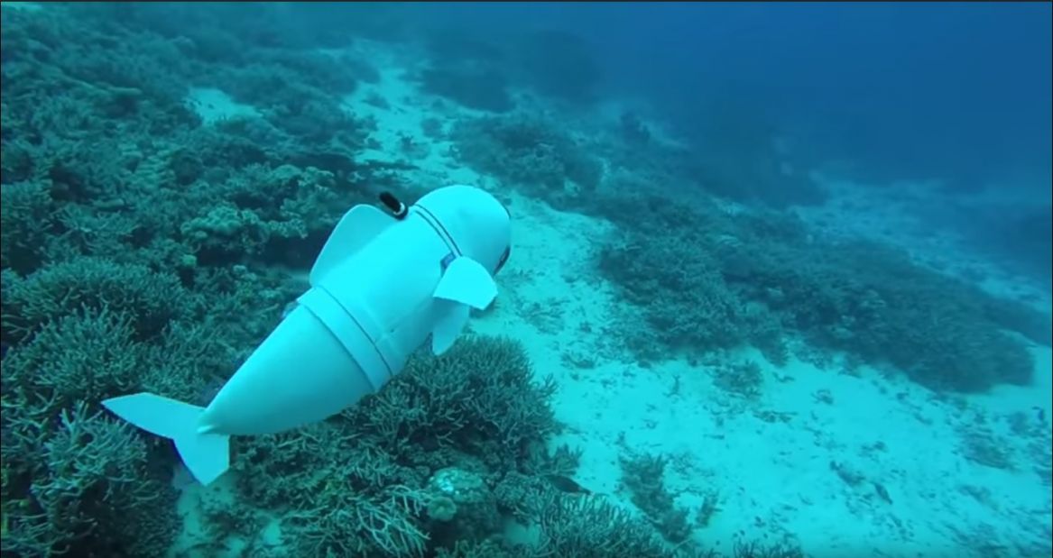 Вчені США створили дивовижну рибу-робота