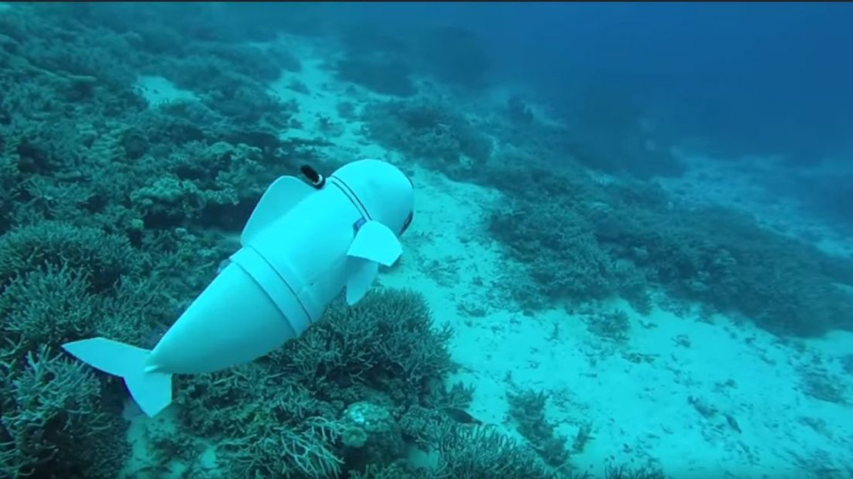 Вчені США створили дивовижну рибу-робота - фото 1
