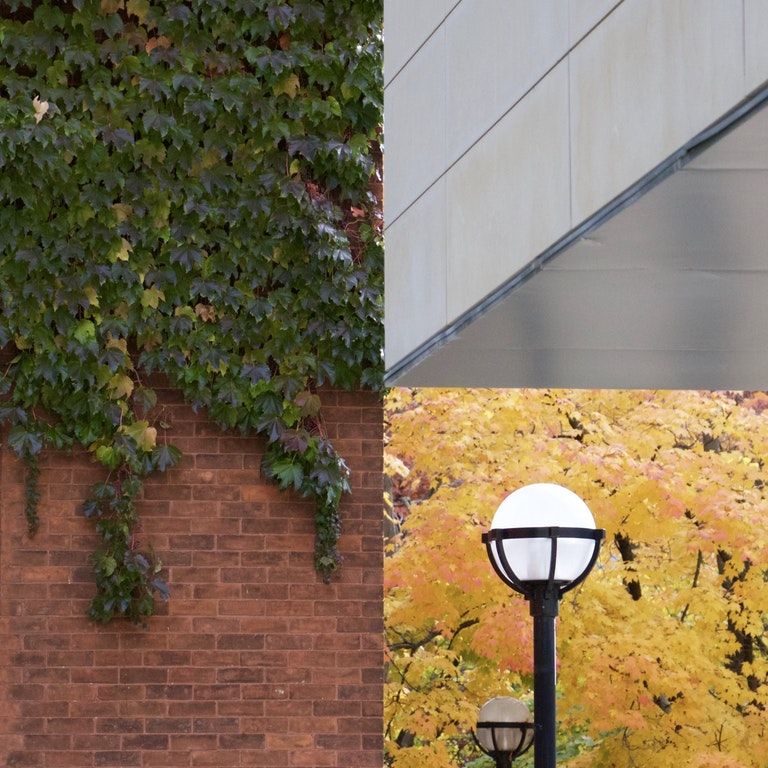 Одне фото чи колаж? Нова оптична ілюзія підкорила мережу