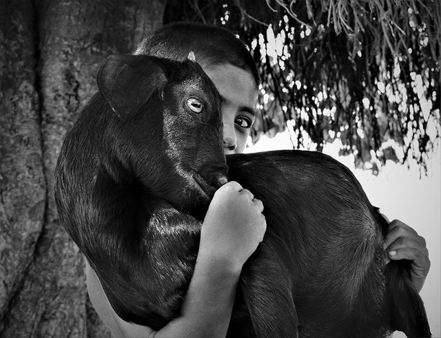 Sony World Photography Awards: названо найкращі фото 2017 року - фото 235080