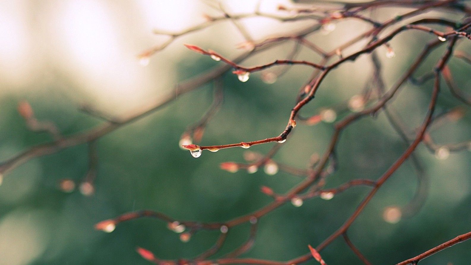 Коли потепліє: яка погода чекає на українців до кінця тижня