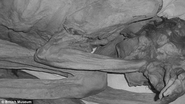 Учені виявили найдавніші татуювання на єгипетських муміях - фото 230871