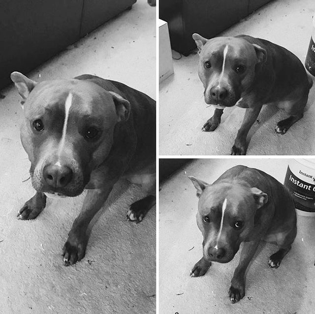 Безумновно, вона вміє показувати провину - фото 231196