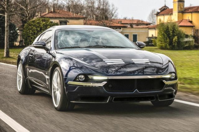 Sciadipersia - фото 231354