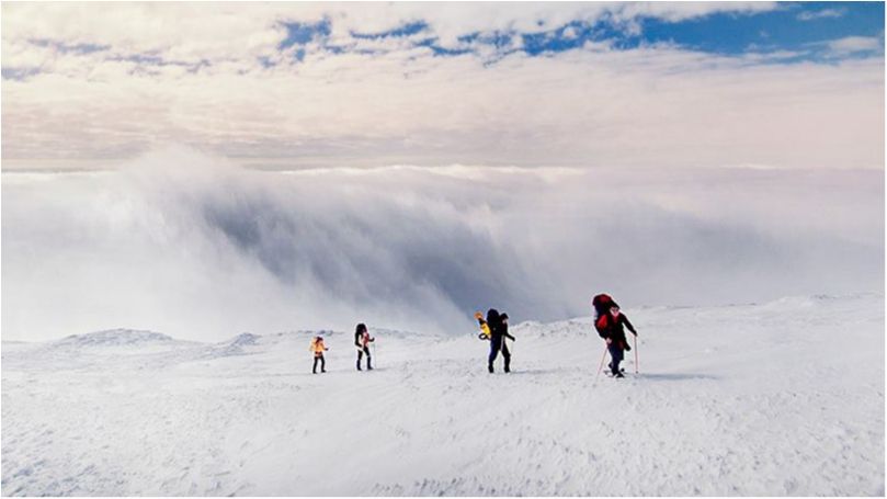 Дивовижні Карпати! - фото 1