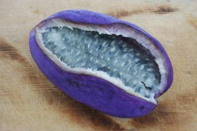 Так виглядають найнезвичайніші фрукти світу- фото 239201