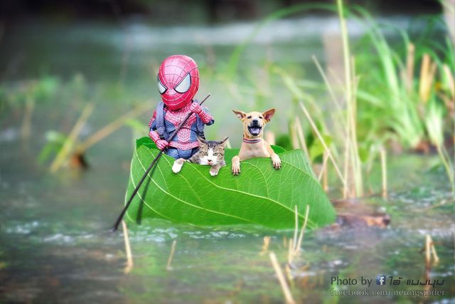 Як виглядають вихідні Людини-павука: кумедні фото - фото 243471