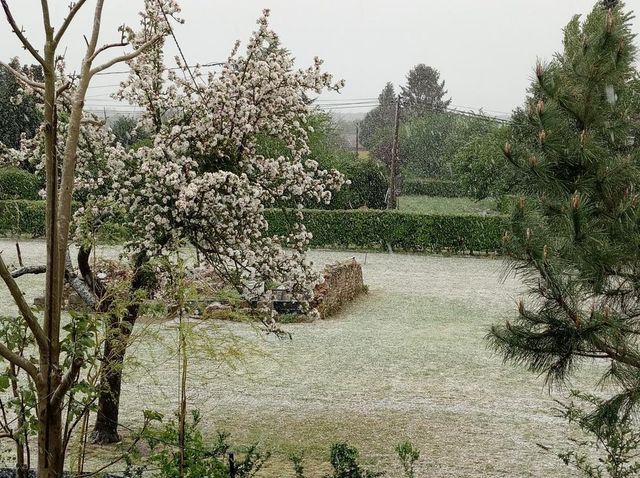 У Франції випав сніг: фотофакт- фото 244458