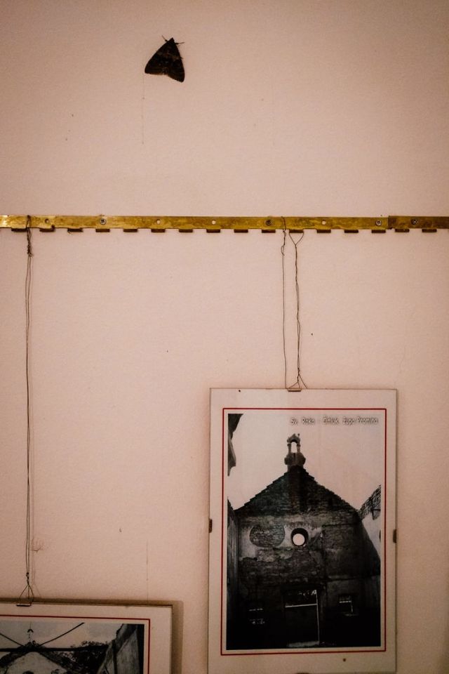 Фотограф показав власний погляд на Хорватію - фото 243332