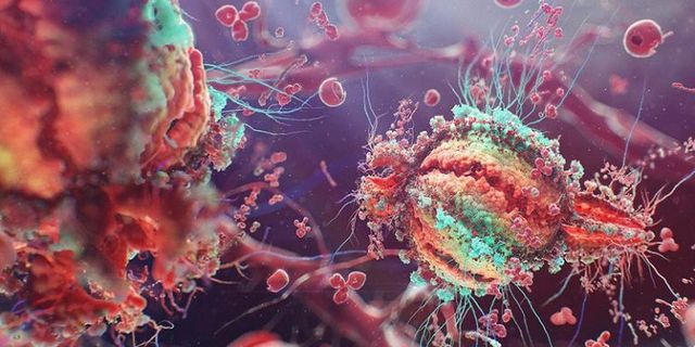 Учені навчилися доставляти ліки всередину клітини - фото 237314