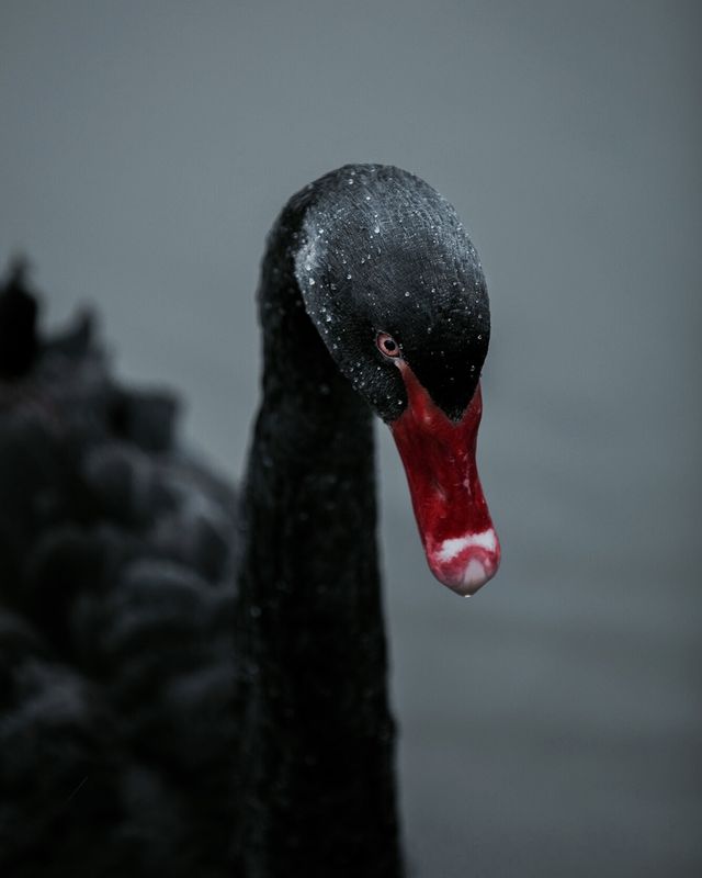 Таємничі пригоди талановитого фотографа, від яких перехоплює подих - фото 243001