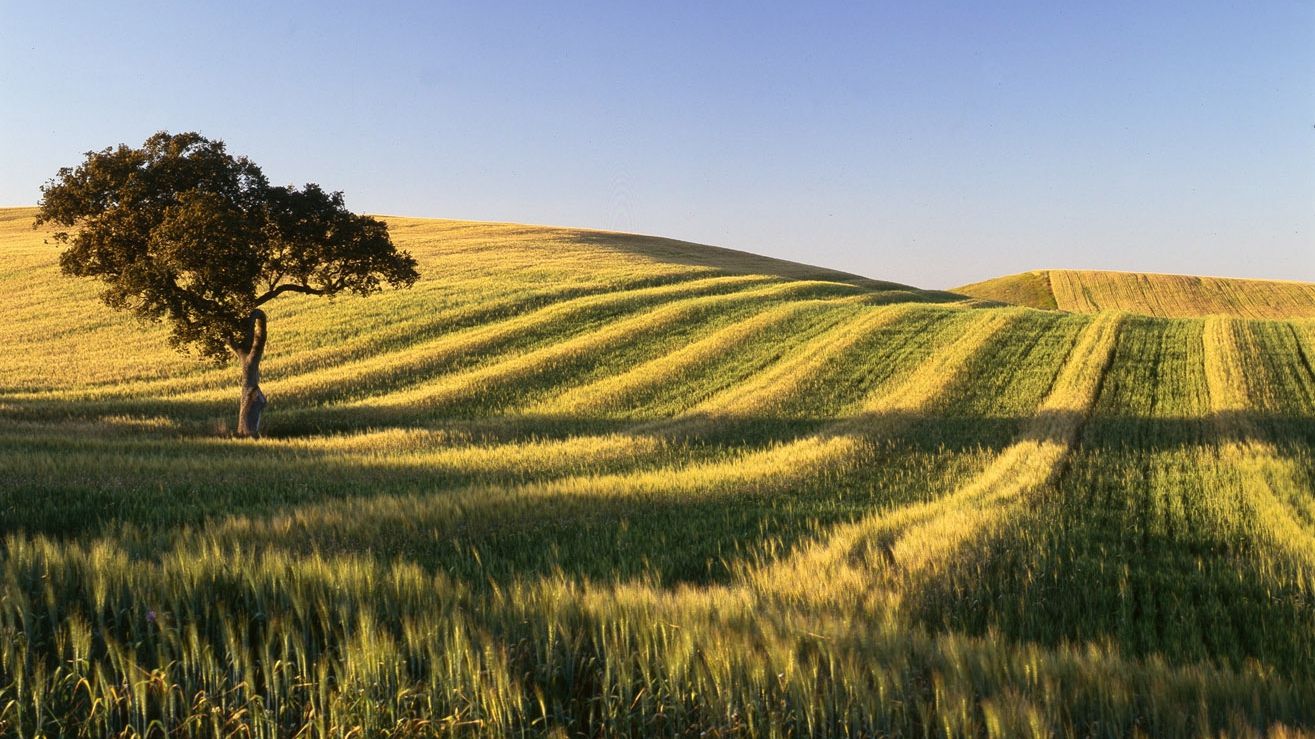 Ці барвисті місця планети легко сплутати з Photoshop