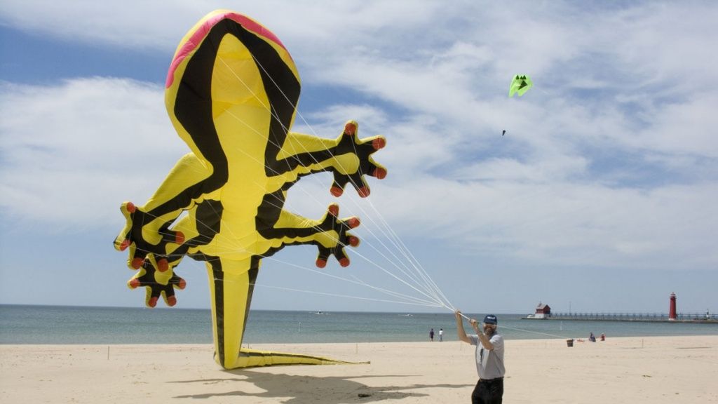 У небі над Вашингтоном запустили тисячі паперових зміїв