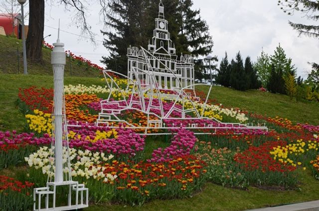 У Києві відкрилася виставка тюльпанів- фото 243812