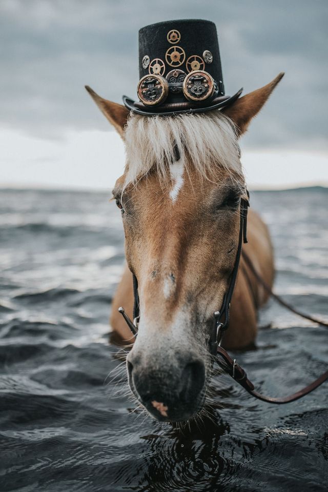 Стімпанк з конем посеред озера: фото, які здивують - фото 241444