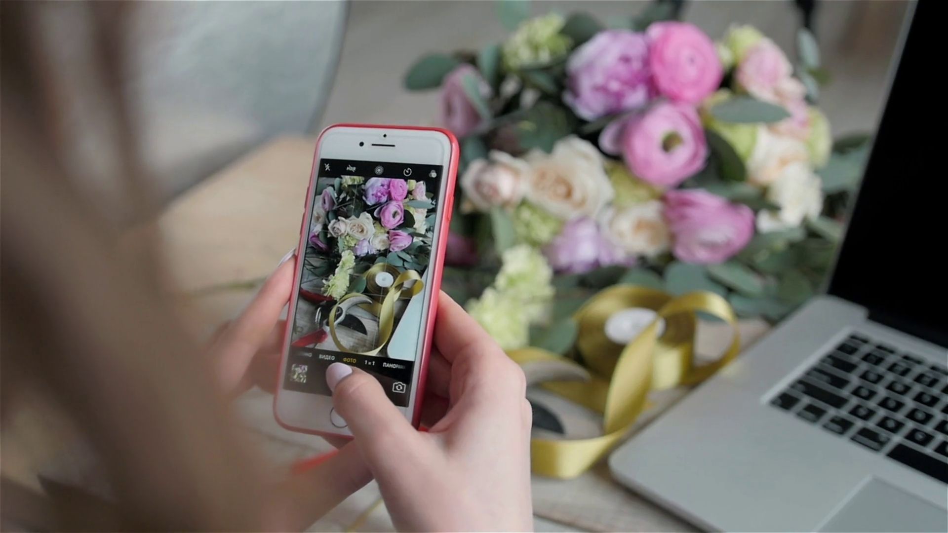 З'явився додаток, що розпізнає рослин і тварин по фото - фото 1