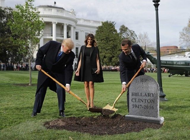 Мережу підірвав мем про Трампа і Макрона з дубом - фото 1