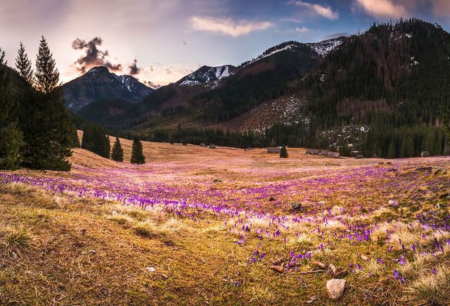 Весна у польських горах: фото, від яких перехоплює дух - фото 240740