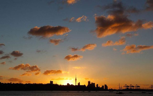 Повсякденне життя новозеландців у яскравих знімках- фото 243710