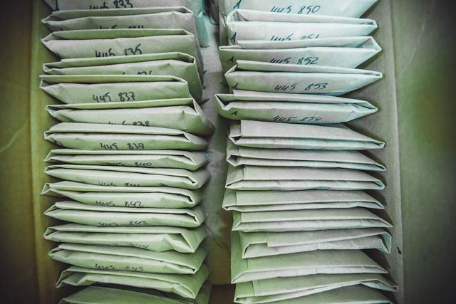 Так виглядає сучасний видобуток золота- фото 243515