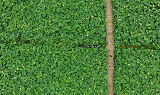 Так виглядає Китай з висоти пташиного польоту - фото 240464