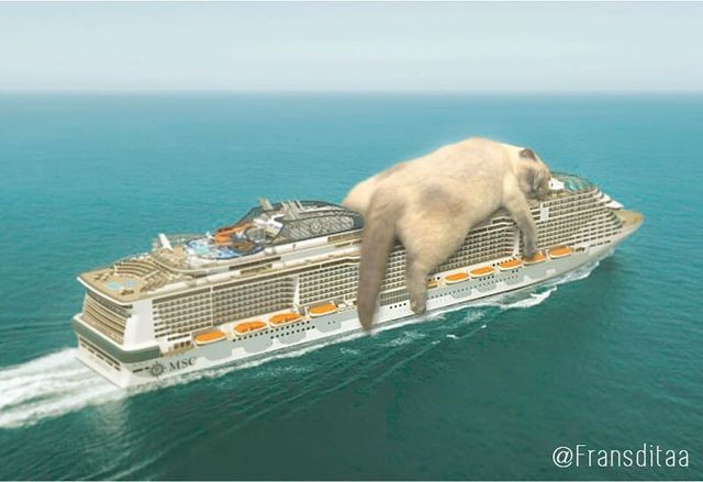 Затори з котиків: художник показує гігантських пухнастиків на вулицях - фото 242511