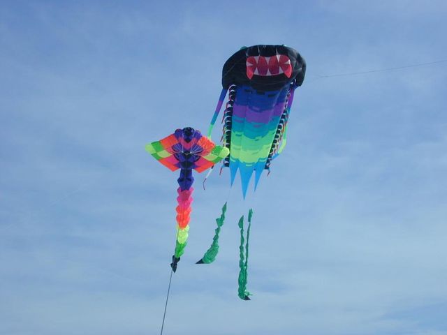 У небі над Вашингтоном запустили тисячі паперових зміїв- фото 237617