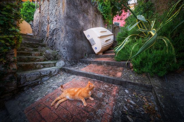 Фотограф показав красу маленьких вулиць Італії: чарівні кадри - фото 243902