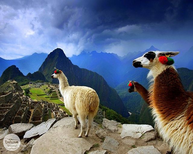 Країни, в яких можна добре відпочити при скромному бюджеті- фото 242134