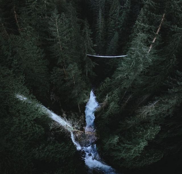 Пейзажі Британської Колумбії в об'єктиві талановитого фотографа - фото 243929