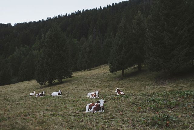 Мандрівниця показала прогулянку по краю світу - фото 242282