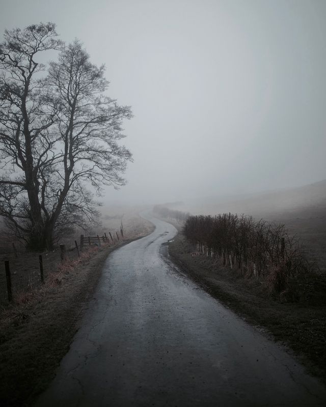 Таємничі пригоди талановитого фотографа, від яких перехоплює подих - фото 243005