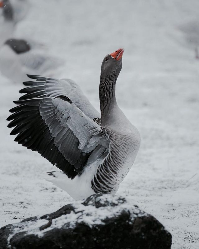 Таємничі пригоди талановитого фотографа, від яких перехоплює подих - фото 242996