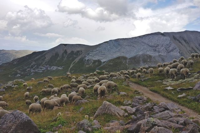 Мандрівниця показала прогулянку по краю світу - фото 242285