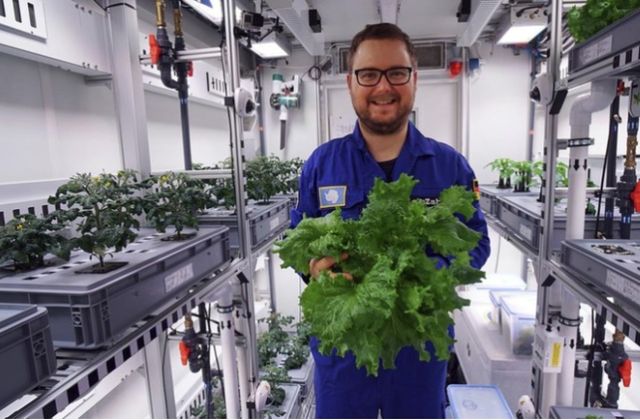 В Антарктиді зібрали перший урожай свіжих овочів - фото 238567